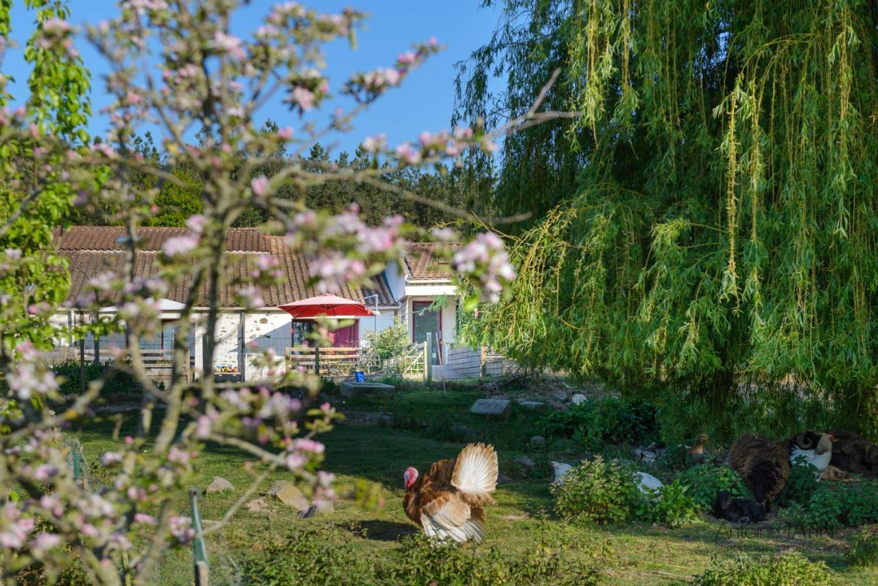 Vairé La Chevrerie B&B 외부 사진
